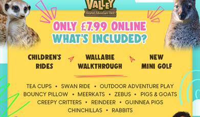 THE FEB HALF-TERM FAMILY FROLIC