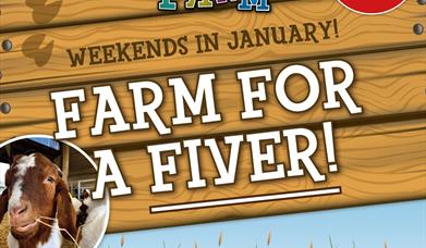 Farm Fun for a Fiver!