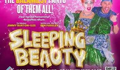 Sleeping Beauty