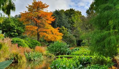 Beth Chatto Plants & Gardens Wellbeing Event