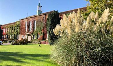 Hidden Writtle University Nature Draw