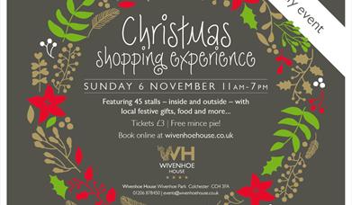 Christmas Shopping Experience