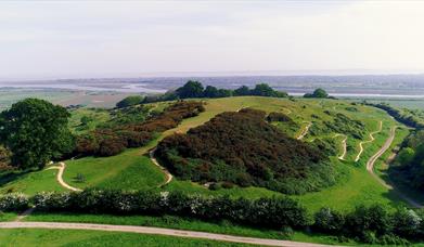 Hadleigh Country Park from the air