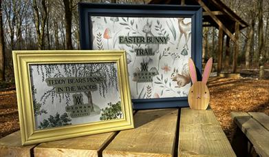 Easter Bunny Trail & Teddy Bears Picnic