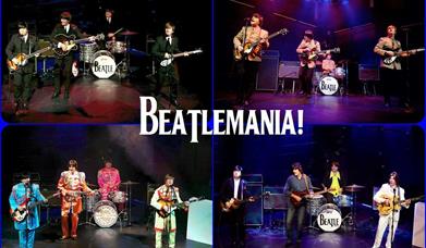 Beatlemania - The cast of Magic of the Beatles