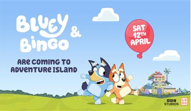 Bluey & Bingo Come to Visit!