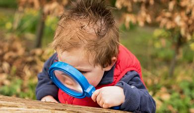 Thameside Nature Tots Summer Picnic
