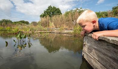 Easter Holidays Pond Dipping