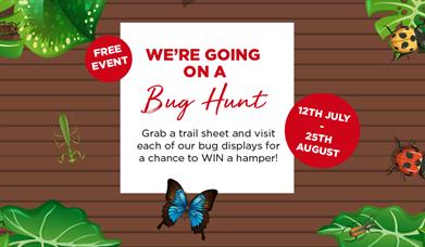 We're Going on a Bug Hunt!