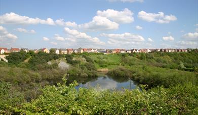 Chafford Gorges Nature Park