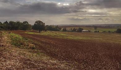 Saffron Trail Stage 5 – Chelmer Village to Battlesbridge