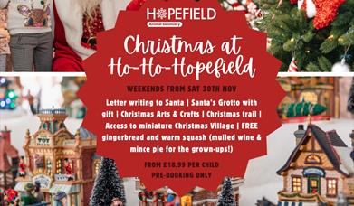 Christmas at Ho Ho Hopefield