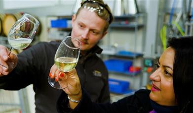 Friday Wine Tasting Experience
