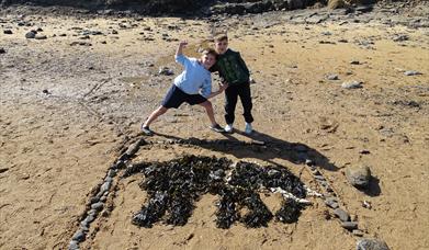 Creativity by the Sea