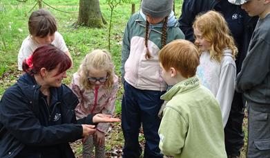 Abbotts Hall Wilder Holiday Club 5+