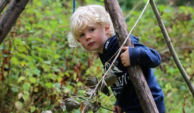 Nature Tots and Babies Summer Special