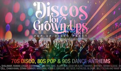 Discos for Grown Ups