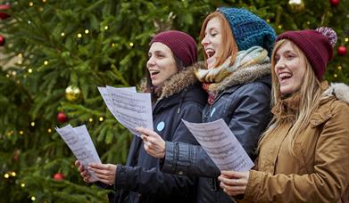 Carols at Audley End