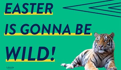 Spring Garden & Zoo Keeper Trail
