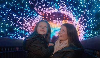 Enchanted Trail of Light