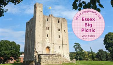 Essex Big Picnic at Hedingham Castle