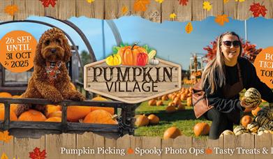 Pumpkin Picking Village