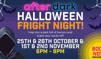 After Dark Fright Night