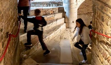 Mythical Castle Creatures: Family Tour