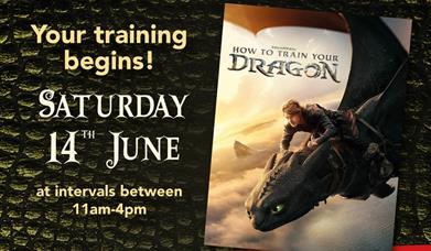 Dragon Encounter!