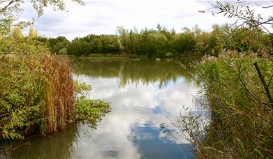 Great Notley Country Park