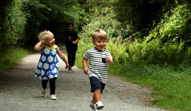 Bedfords Nature Tots Summer Special