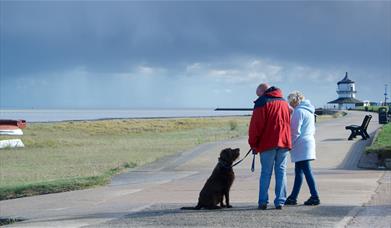 Harwich beach dog walk