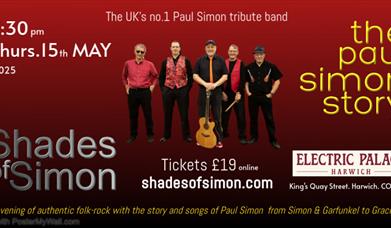 Concert : The Paul Simon Story