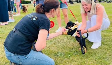 Family Fun Day & Dog Show