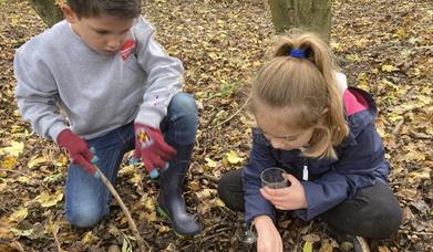 Belfairs Creepy Crawlies