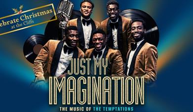 Celebrate Christmas With Just My Imagination Dinner