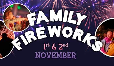 Family Fireworks