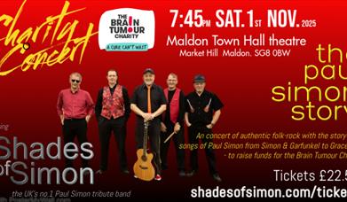 Shades of Simon - The Paul Simon story