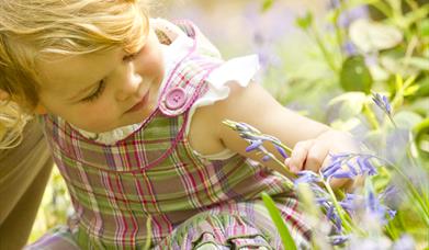 Hanningfield Nature Tots Summer Special