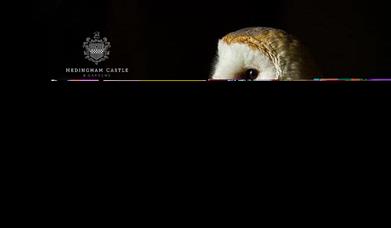 Owls by Candlelight