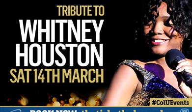Whitney Tribute Night