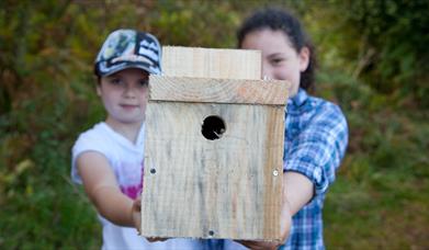 Fingringhoe Bird Box Building