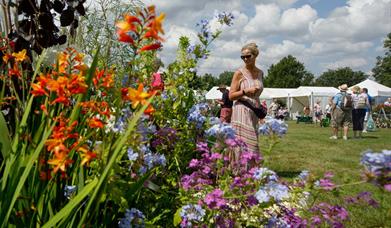 Hyde Hall Flower Show