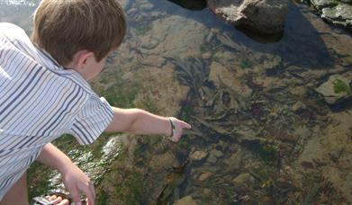 Naze Seashore Science and Discovery