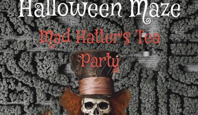Chigborough Halloween Maze 2025