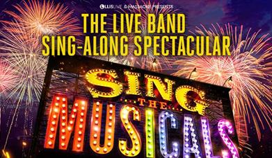 SING THE MUSICALS