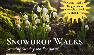 Snowdrop Walks