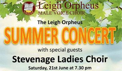 Summer Concert