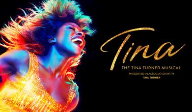 TINA - The Tina Turner Musical