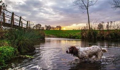 Essex Way Stage 4 - Terling to Coggeshall